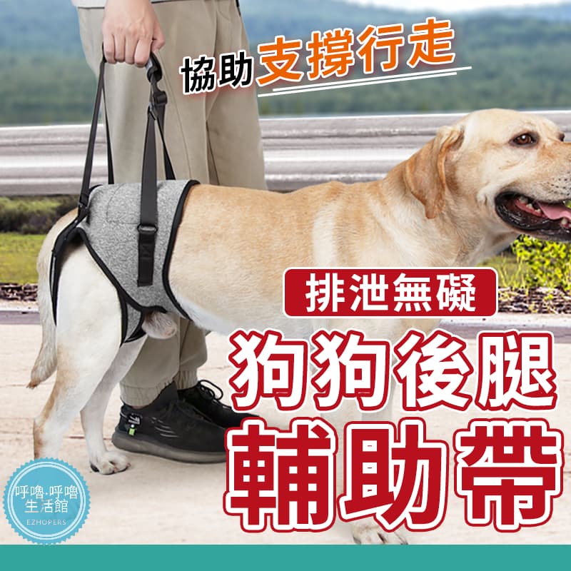 輔助背帶商品示意圖